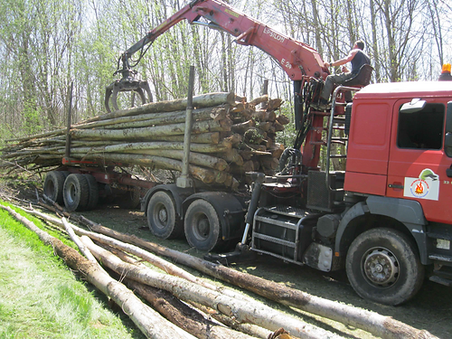 Chataignier-en-Grume-–-Camion-de-50-Steres-Chauffage-Abondant-et-Local